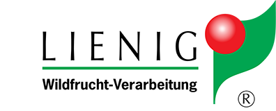 Lienig